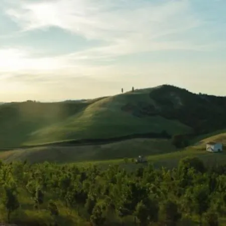 Poggio Ai Legni * Certaldo